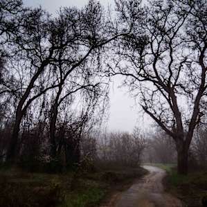 Road heading to river from campsites
