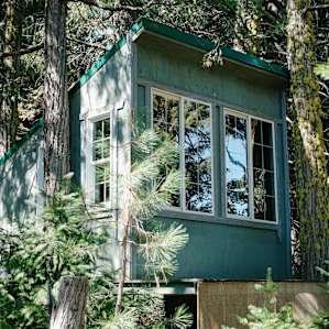 Treehouse through the trees!