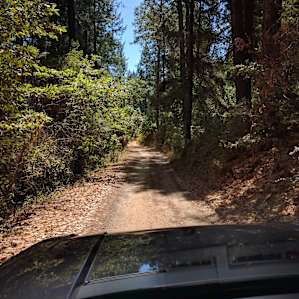 The driveway