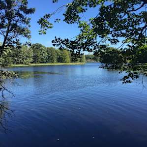 A vista from the Jean Brunet Nature Trail.