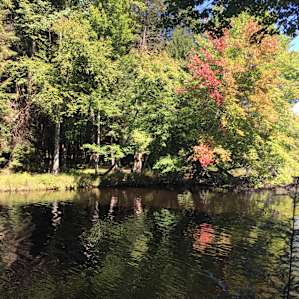 Fall colors just starting to pop in early September.