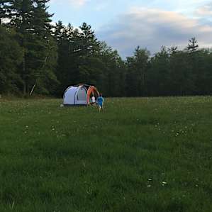 Nestled on Field Edge or by Pond