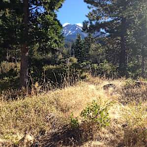 The view from my campsite.