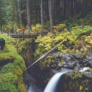Sol Duc Falls is a short hike from the campsite and beyond worth it. If you're up for a bigger hike, keep going from here to continue on the Lover's Lane loop.