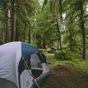 The campsites are all fairly large and really well maintained.