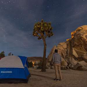 Campsite number 8 at night, moon phase is waxing crescent.