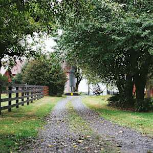 Looking up toward the farm from the driveway