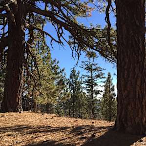 Picking the perfect campsite