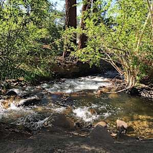 Rock Creek runs along the side of the campground.