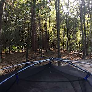 Wekiwa Springs Campground