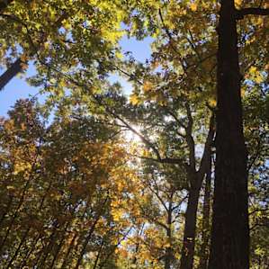 Legion Campground