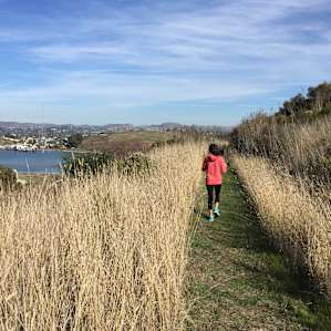 Winding trails, most with stellar views of the San Pablo Bay, thread the preserve.