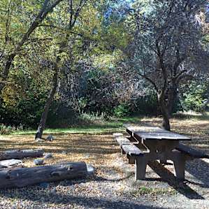 The view from looking right outside our tent. Nice picnic bench, fire pit, and logs to sit on.