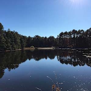 Cedar Creek