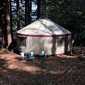 Forest Yurt