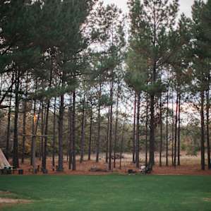 This pine forest is pure magic. You'll feel it as soon as you drive in. :)