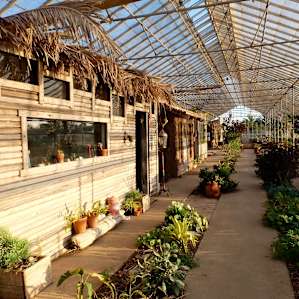 The view from the entrance of the greenhouse. There are huts that line the right side of the greenhouse!
