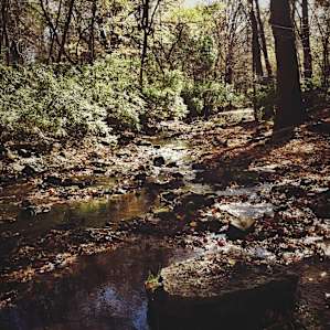 A shallow part of rock creek, near the campground.