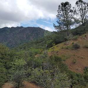 Juniper and Live Oak Campground