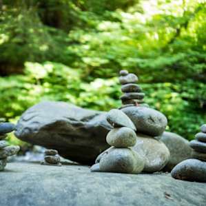 Rocks in formation at the falls.