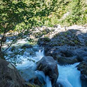 Salmon run area.