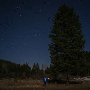 forest people stars