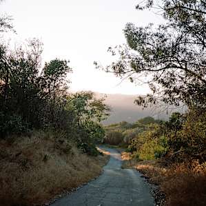 hike from the residential road
