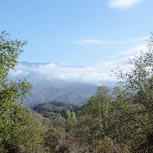 Middle Lion Campground