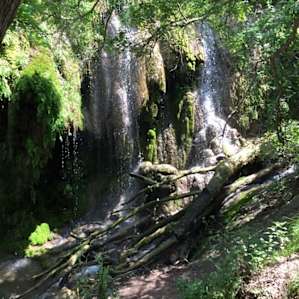 Gorman Falls! We were feeling pretty to attempt this hike with a two year old, but so worth it!