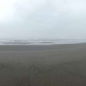 Austere, beautiful Gold Bluffs Beach