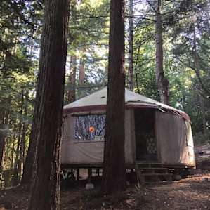 Forest Yurt