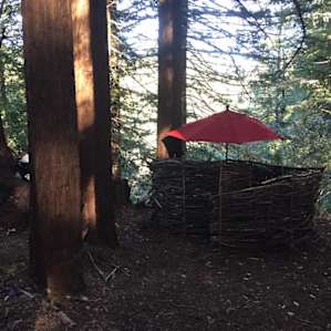Forest Yurt