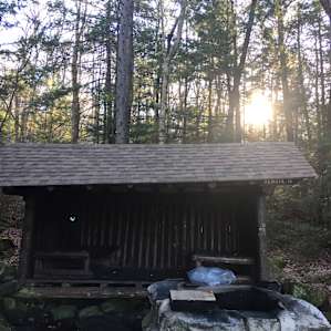 Clean and spacious lean-to's. We woke up to snow in November and the fire pit is located close enough so that we were warm all night. This site was just tucked away right off the pond.
