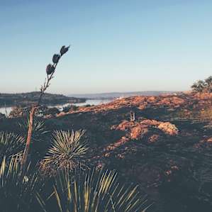 Inks Lake Campground
