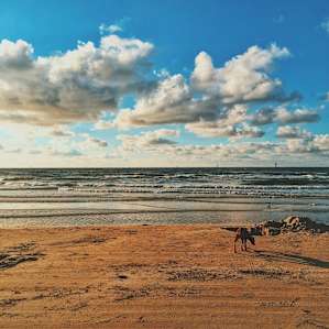 Mustang Island Campground