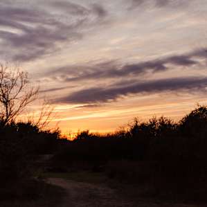 The sunset was gorgeous!