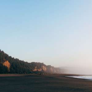Why they call it GOLD BLUFFS!