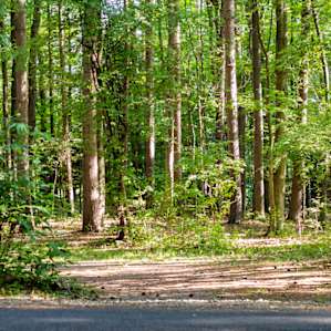 The entire campground is very nice and well maintained. There are also well-marked trails that lead to the waterfalls.