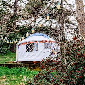 The yurt is surrounded by so many lush trees and plants! It feels like your own private forest.