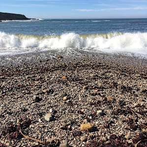 Spooners Cove.