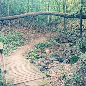 This park has secluded trails like this one , if you stay away from the pothole and riverboat exhibits . ( even those heavily populated areas are worth spending a few minutes at though )