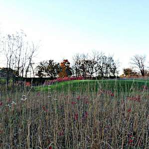 You can even talk to your golfing buddies to come along on this camping trip . The course in this park has beautiful greens and views . The course here has been in jeopardy of closing but friends of the park have kept it alive and beautiful so far .