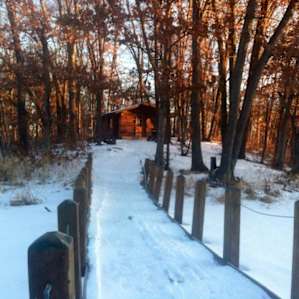 You know you're almost there when you reach this little bridge over the lake. Watch for deer dance across the lake at dawn . Venture into the woods around the lake and you see how hard the beavers are working to build their homes .
