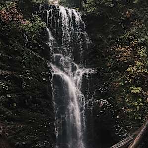 Berry Creek Falls