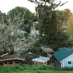 A view of their property -- can you believe its smack in the middle of Petaluma city? Feels like a totally different world