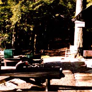 Elm