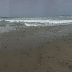 Beautiful Ocean!
