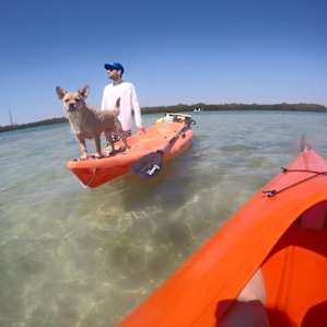 Kayaking in Tampa Bay