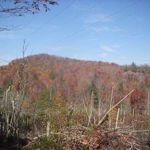 Panthertown Valley Backcountry Area