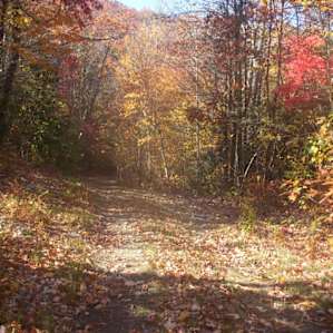 Panthertown Valley Backcountry Area